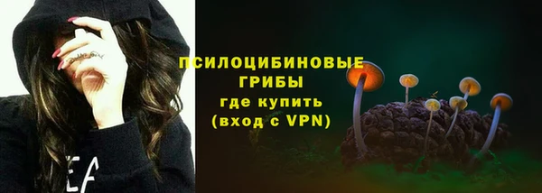 СК Арсеньев