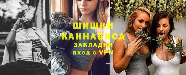 шишки Сосновка