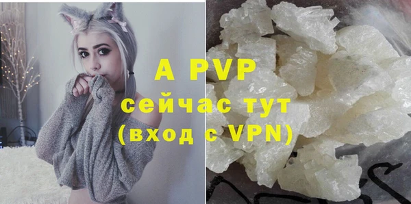 крисы Сосновоборск