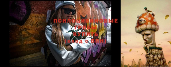 а пвп мука Армянск